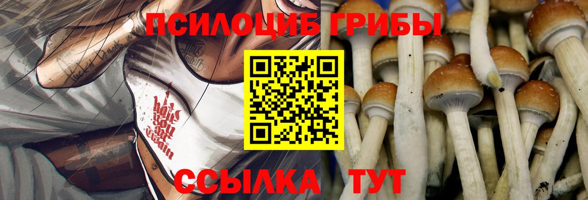 Геленджик  Галлюциногенные грибы MAGIC MUSHROOMS  Псилоцибиновые грибы GOLDEN TEACHER  Вход с VPN 