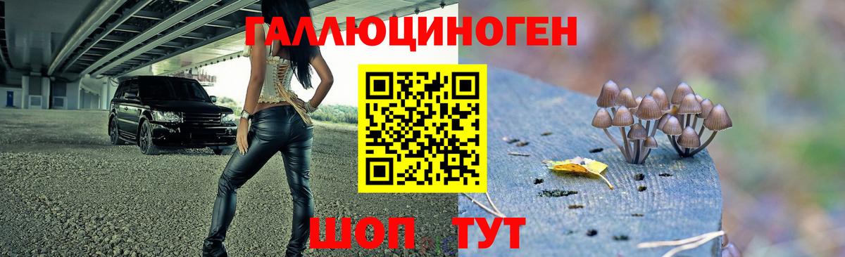 Псилоцибиновые грибы ЛСД Геленджик